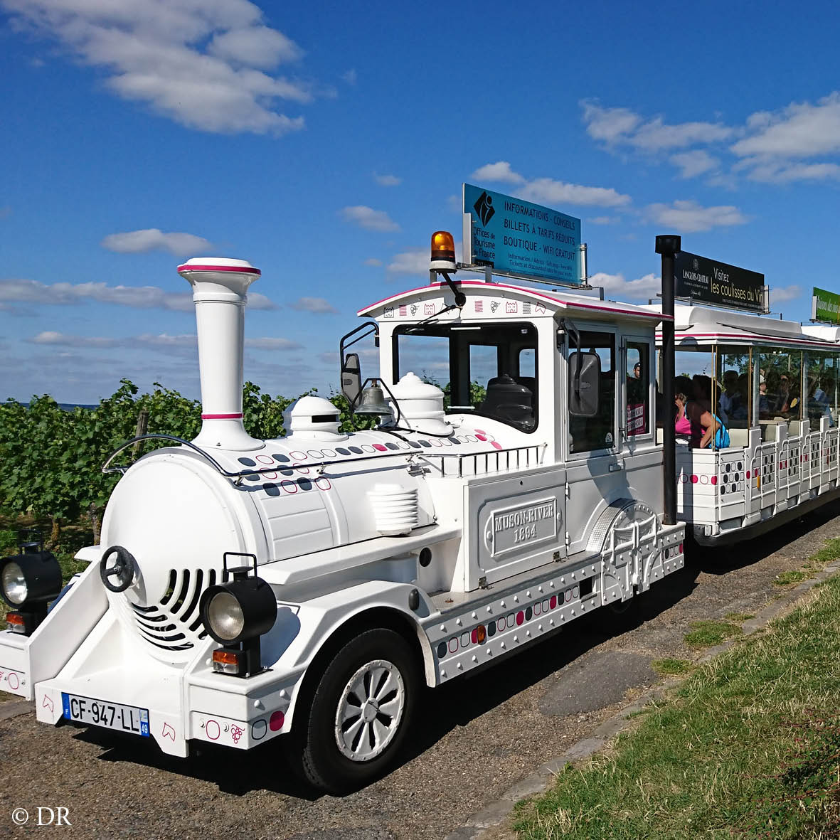 BALADES EN PETIT TRAIN