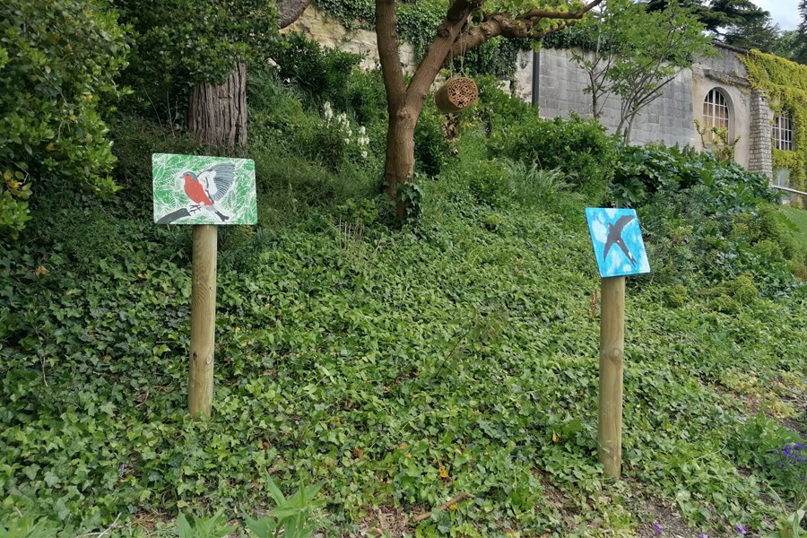 Le bal des oiseaux, une exposition de l’école d’art à découvrir dans le jardin des plantes