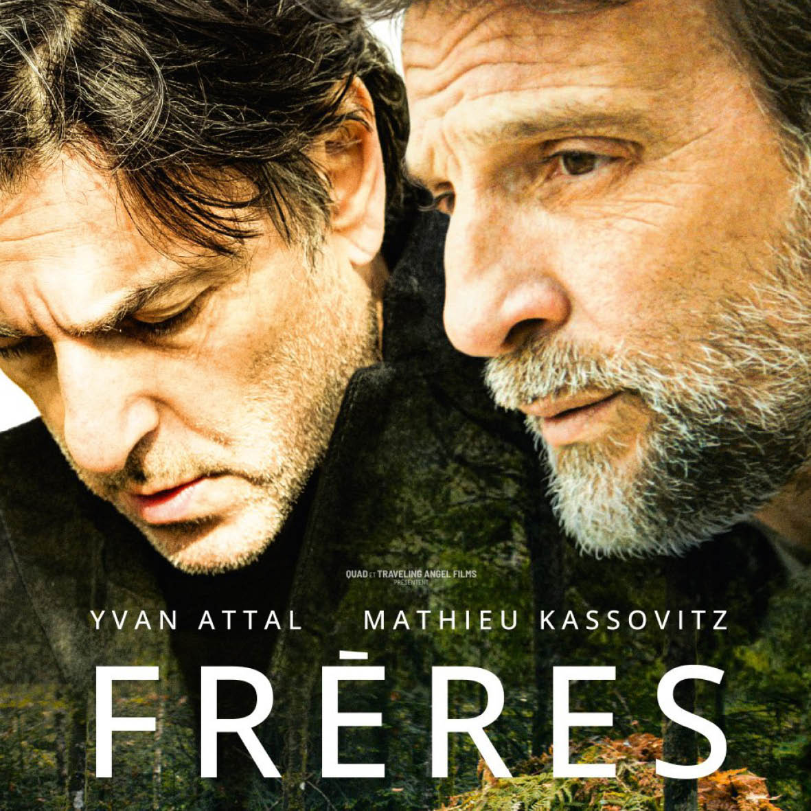 EFFERVESCENCES X CINÉMA PLEIN AIR : "FRÈRES"