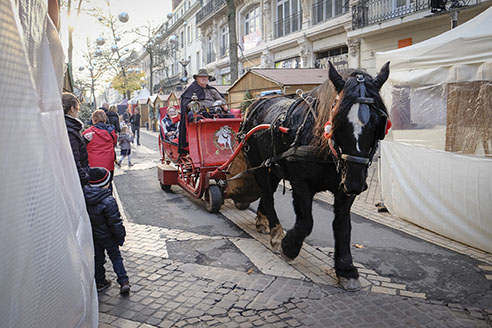 A Saumur ce week-end