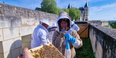 Rucher école de Saumur, la première récolte de miel est en vente