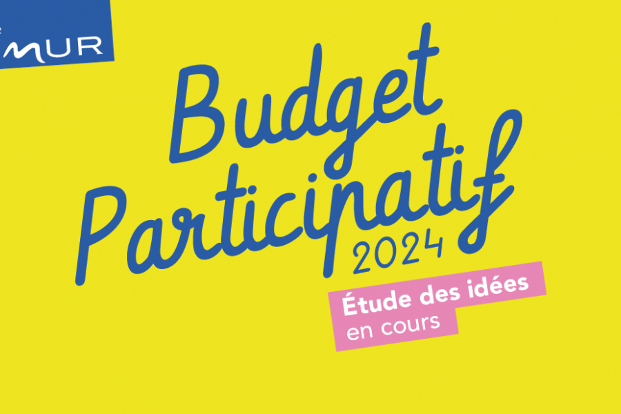 Budget participatif 2024 : vous avez carte blanche (à nouveau) !