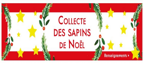 Report des collectes de déchets et collecte exceptionnelle de sapins