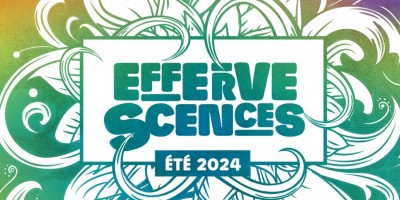 EFFERVESCENCES 2024 :  LE PROGRAMME !