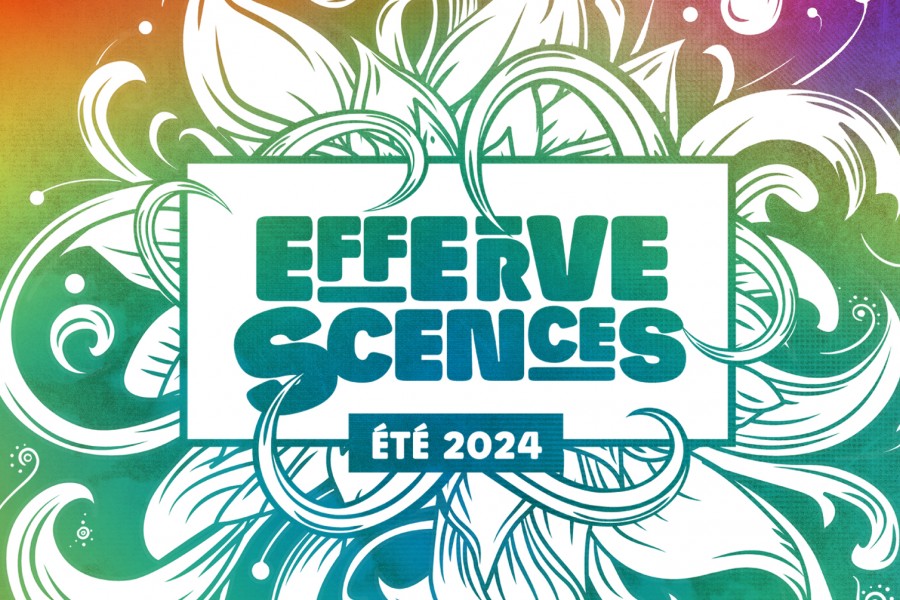 EFFERVESCENCES 2024 :  LE PROGRAMME !