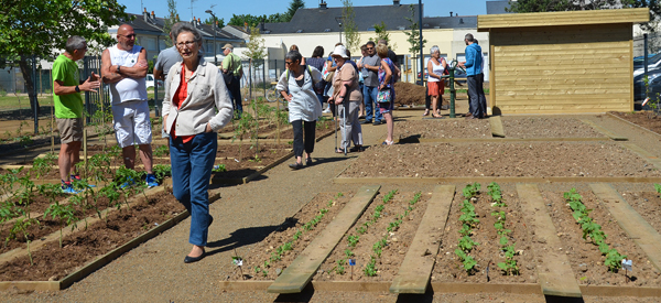 Un jardin partagé au Chemin Vert