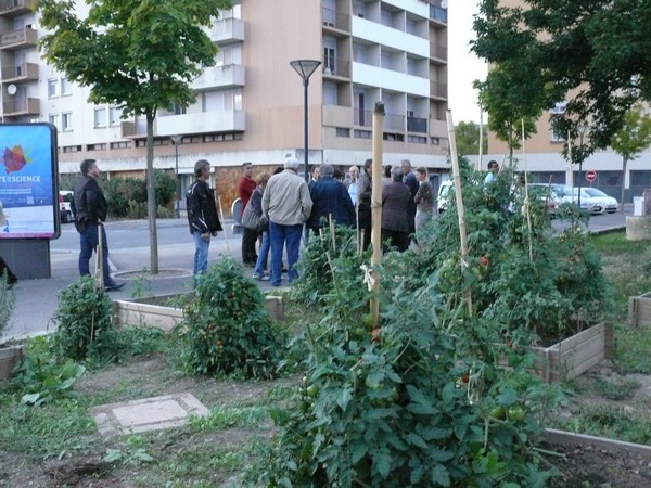 Visite de quartier Chemin Vert Violettes en bref