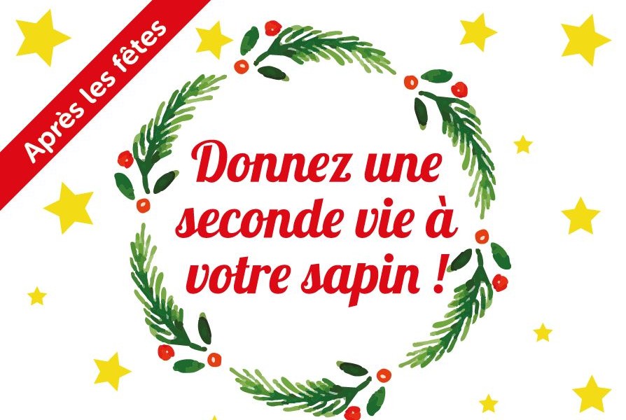 Donnez une seconde vie à votre sapin !